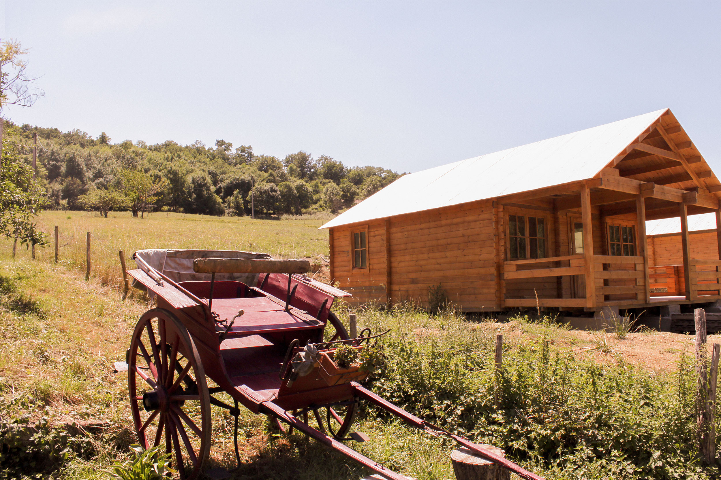 Chalet en bois dormir à la ferme en Ariège Saint-Ybars