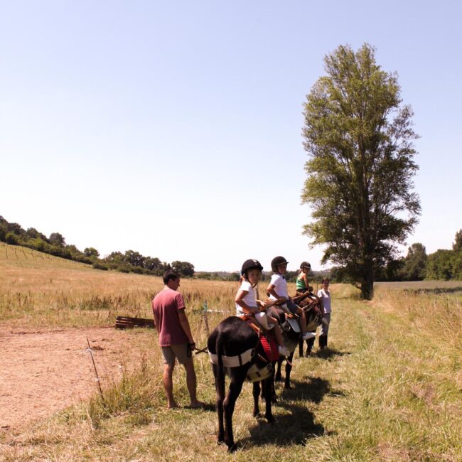 Promenade à dos d'âne en Ariège animation à la ferme